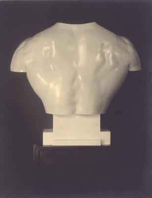 Torso