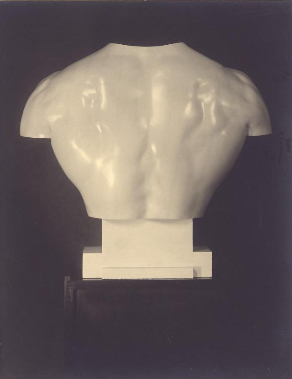 Torso