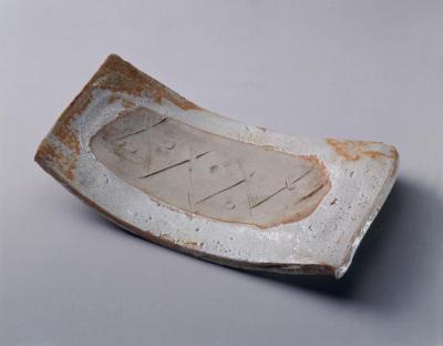 Dish