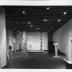 Thumbnail: Bird B, image 14