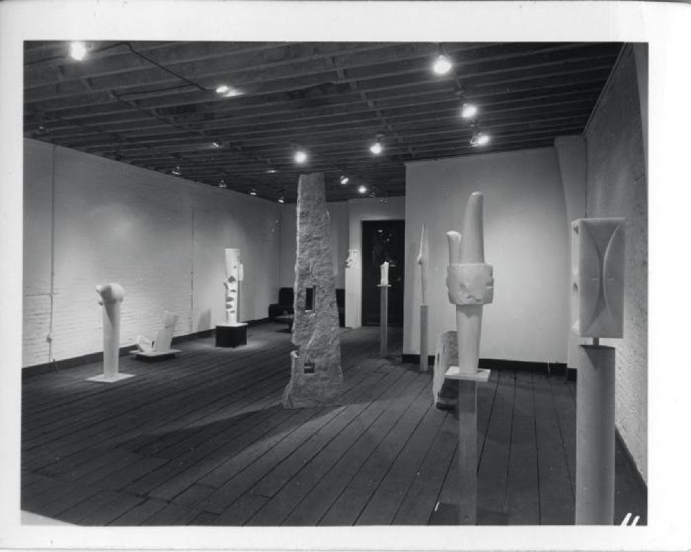 Bird B, image 13