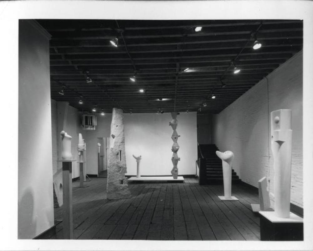 Bird B, image 14