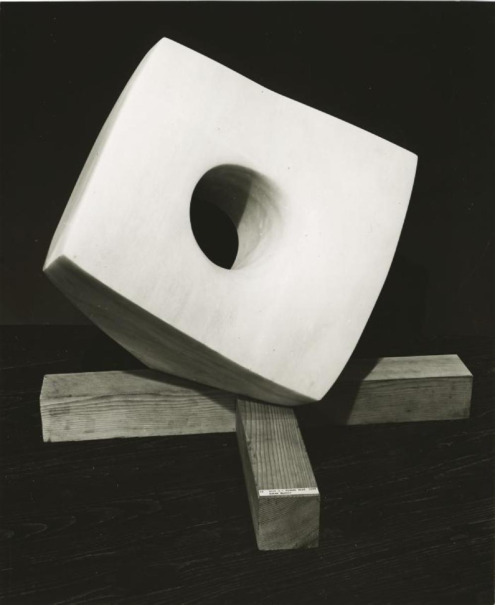 Bird E, image 5