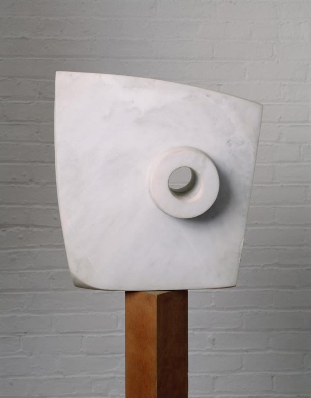 Bird D, image 6