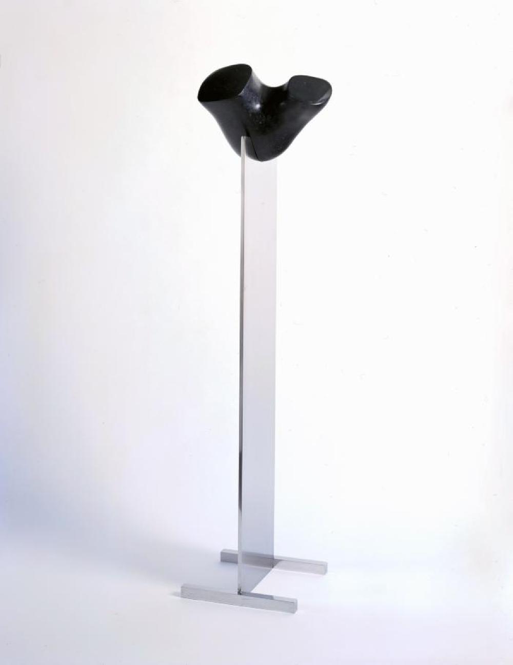 Night Bird, image 1