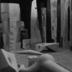 Thumbnail: Bird B, image 7