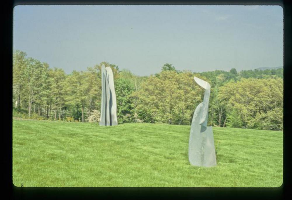 Figure Emerging, image 4